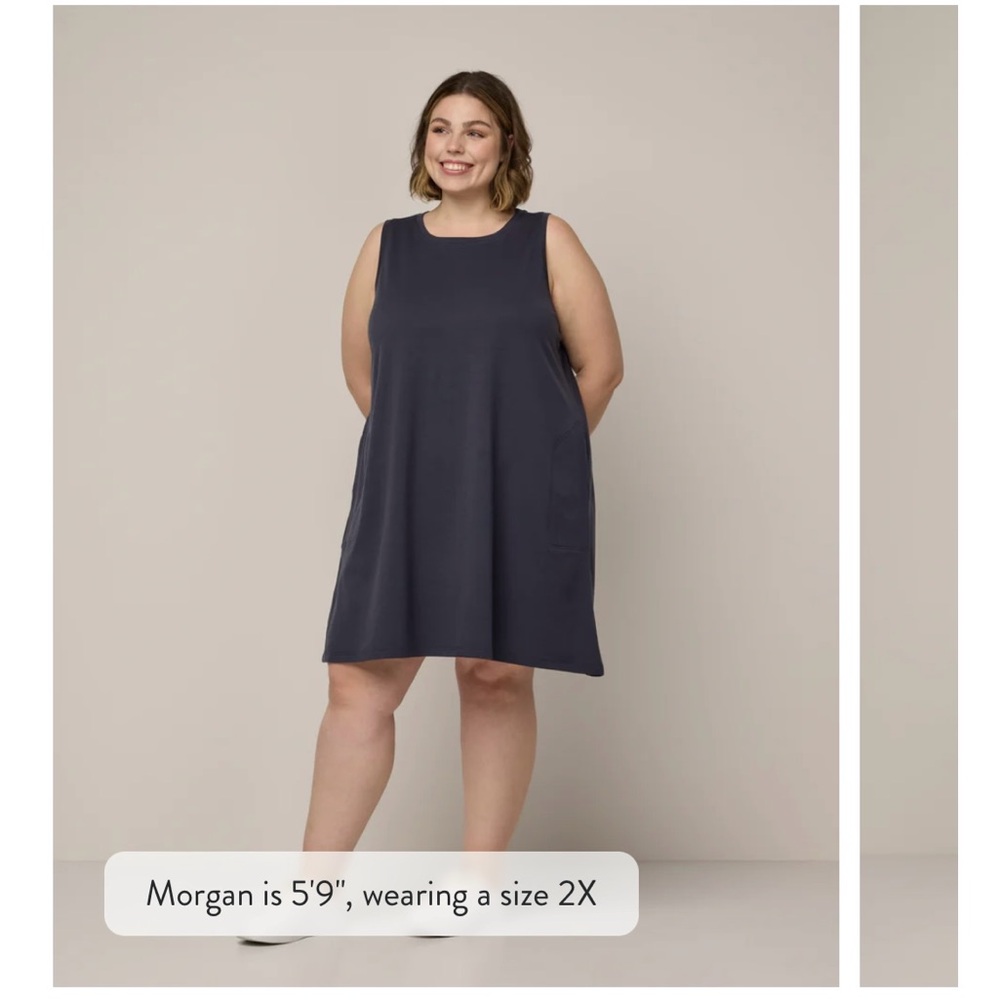 Wool& Washed Navy Sierra Tank Dress size small